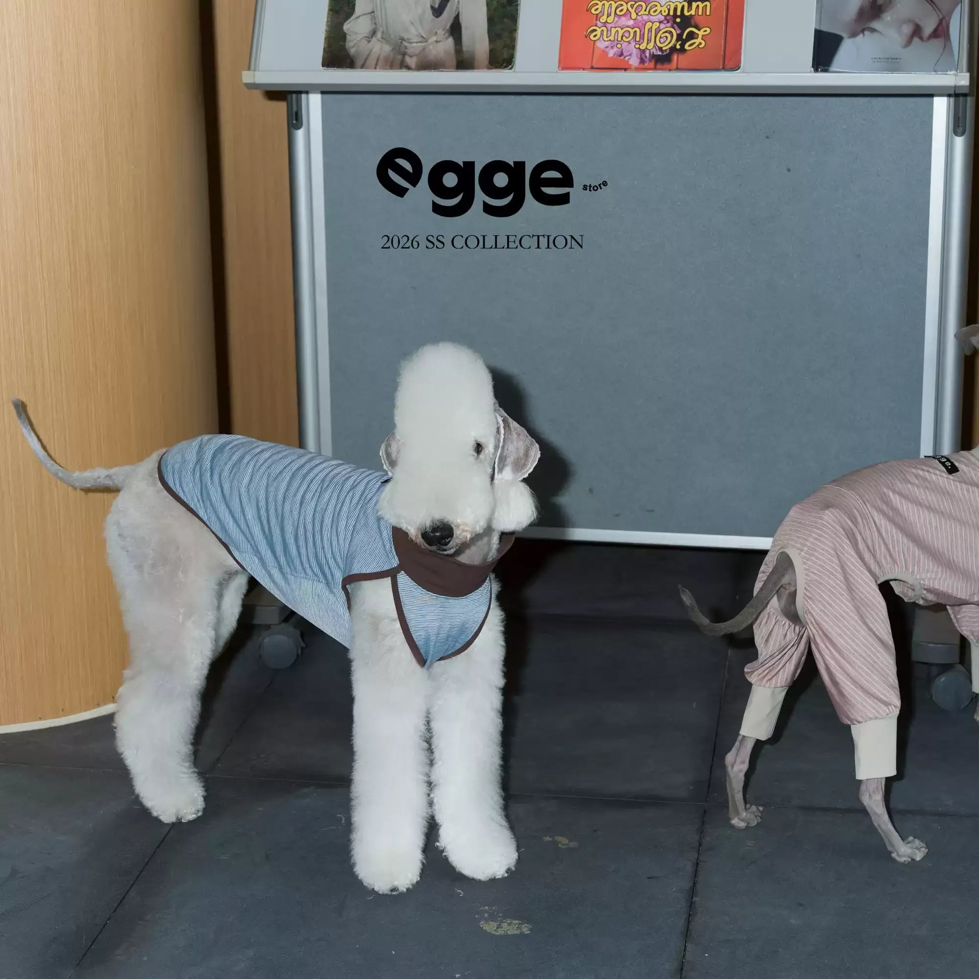 Egge Ice Skin Dog Cool Vest, Lightweight And Cool In Summer