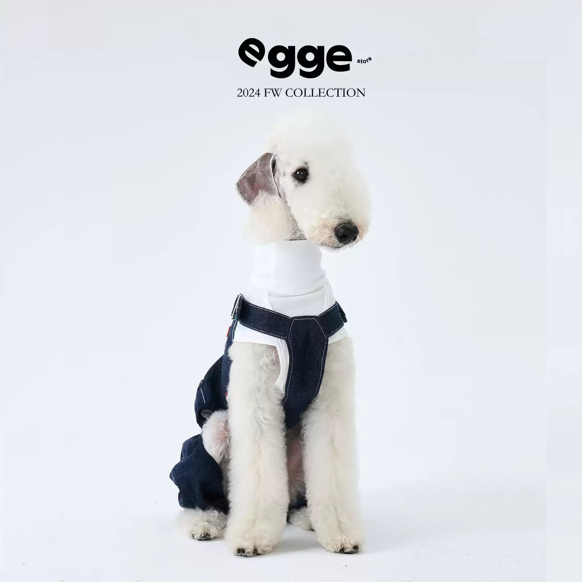 Egge Japanese Magazine Retro Denim Overalls