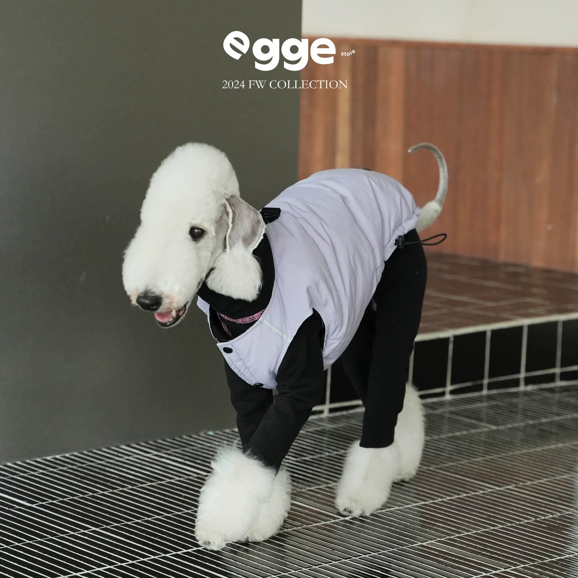 Egge Reversible Double-Colored 90 White Duck Down Dog Winter Warm Down Vest