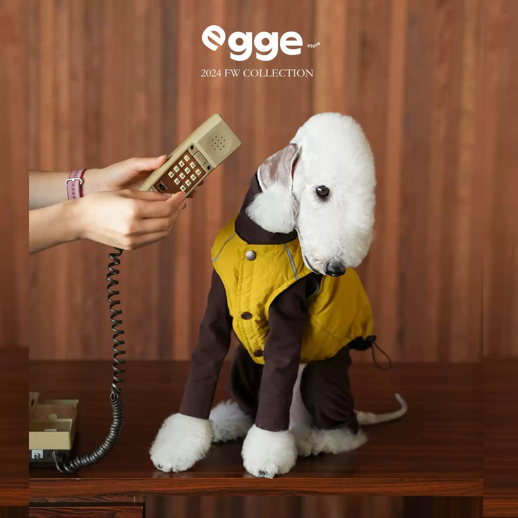 Egge Reversible Double-Colored 90 White Duck Down Dog Winter Warm Down Vest