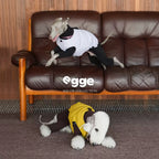 Egge Reversible Double-Colored 90 White Duck Down Dog Winter Warm Down Vest