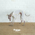 Egge Spring And Summer Thin Sensitive Dog Protective Clothing