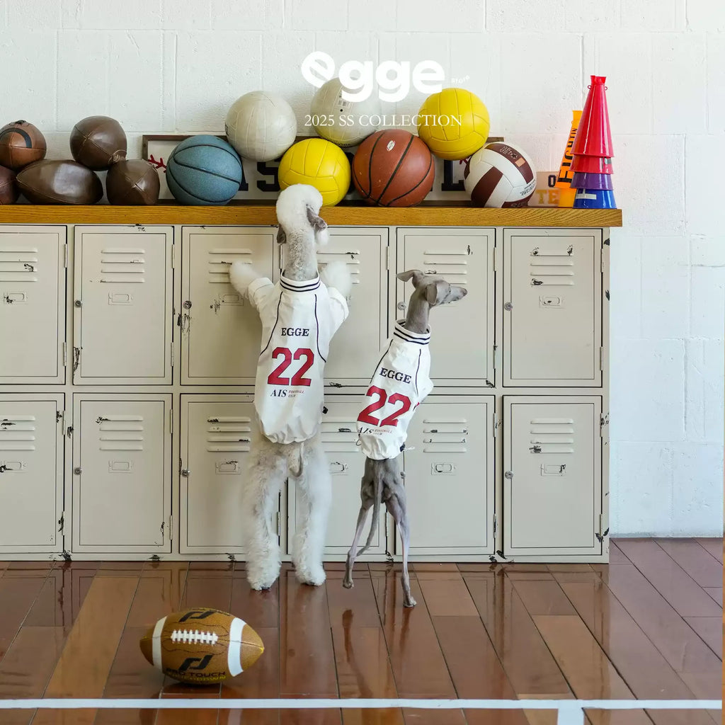 Egge Spring Summer Lightweight Retro Dog Jersey