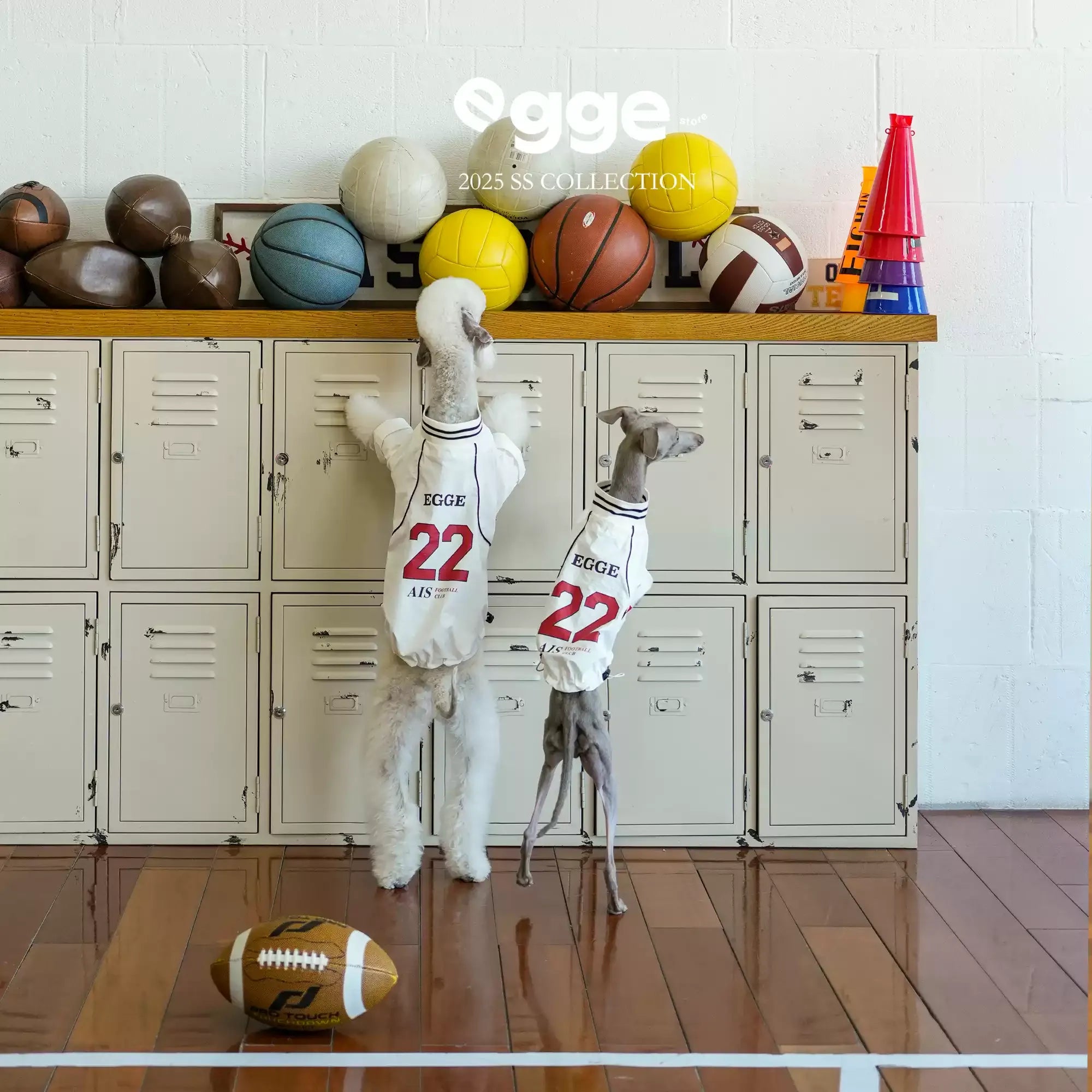Egge Spring Summer Lightweight Retro Dog Jersey
