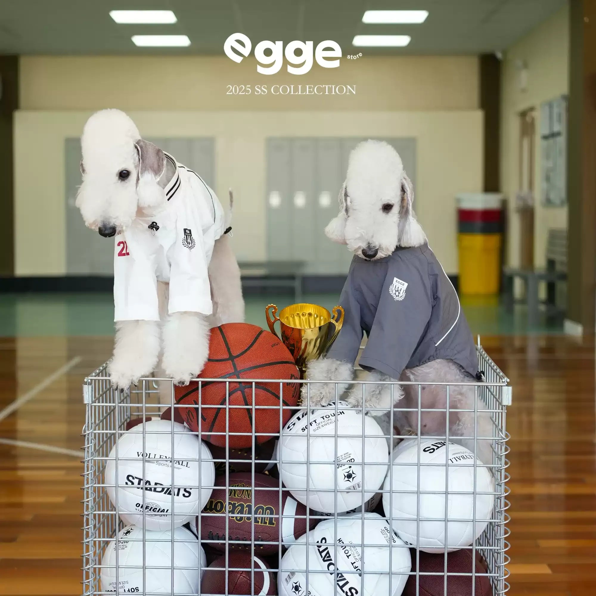 Egge Spring Summer Lightweight Retro Dog Jersey