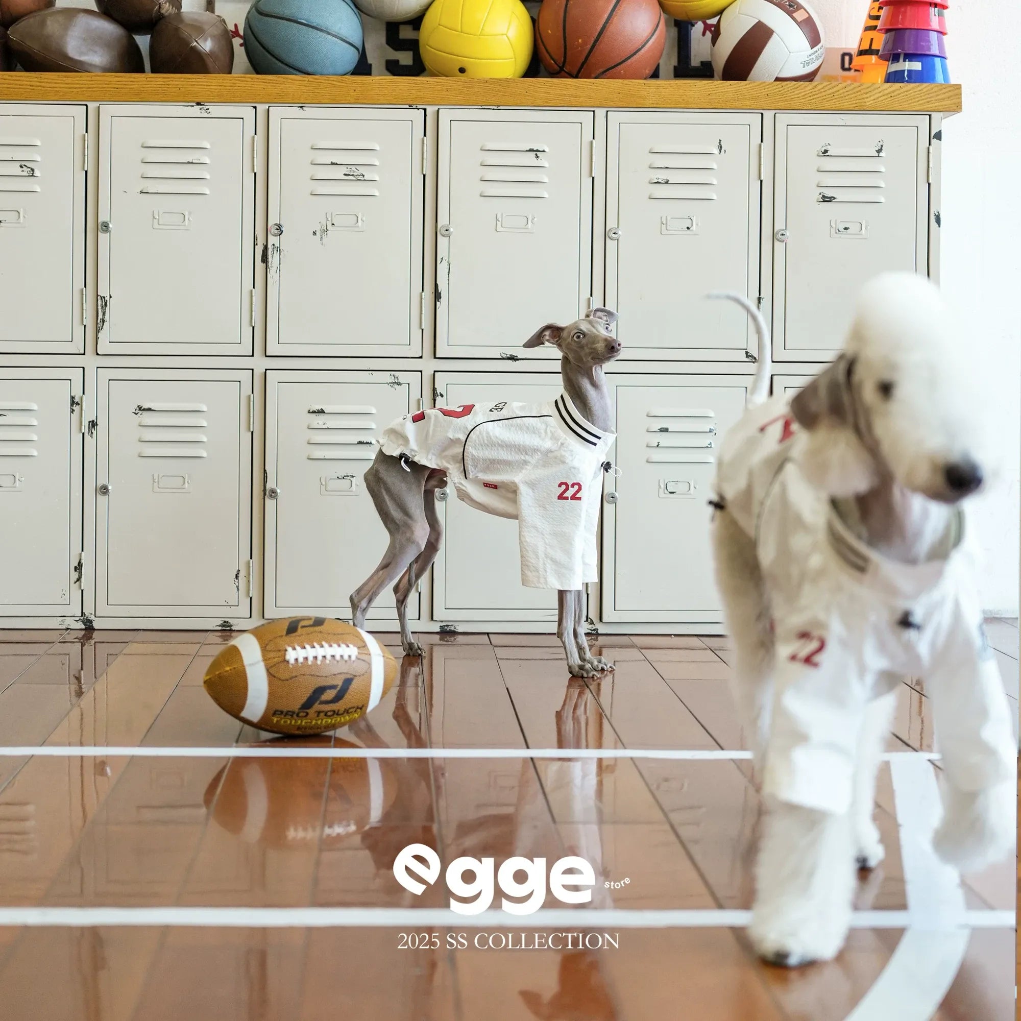 Egge Spring Summer Lightweight Retro Dog Jersey