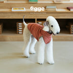 Egge Towel Loop Yarn Knitted Autumn and Winter Home Pet Vest