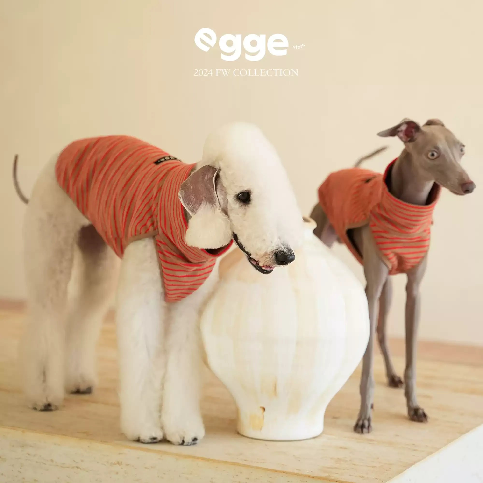 Egge Towel Loop Yarn Knitted Autumn and Winter Home Pet Vest
