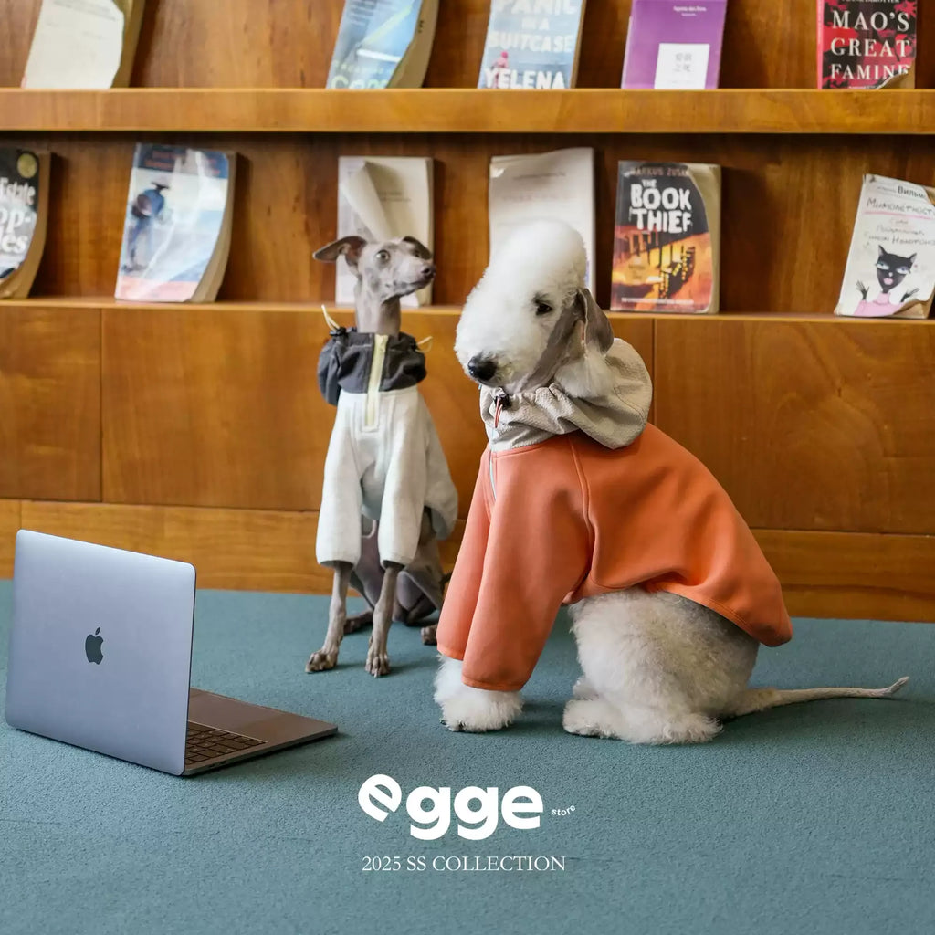 Egge Ultra-Soft Fluffy Air Layered Sweatshirt