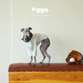 Egge Ultra-Soft Fluffy Air Layered Sweatshirt