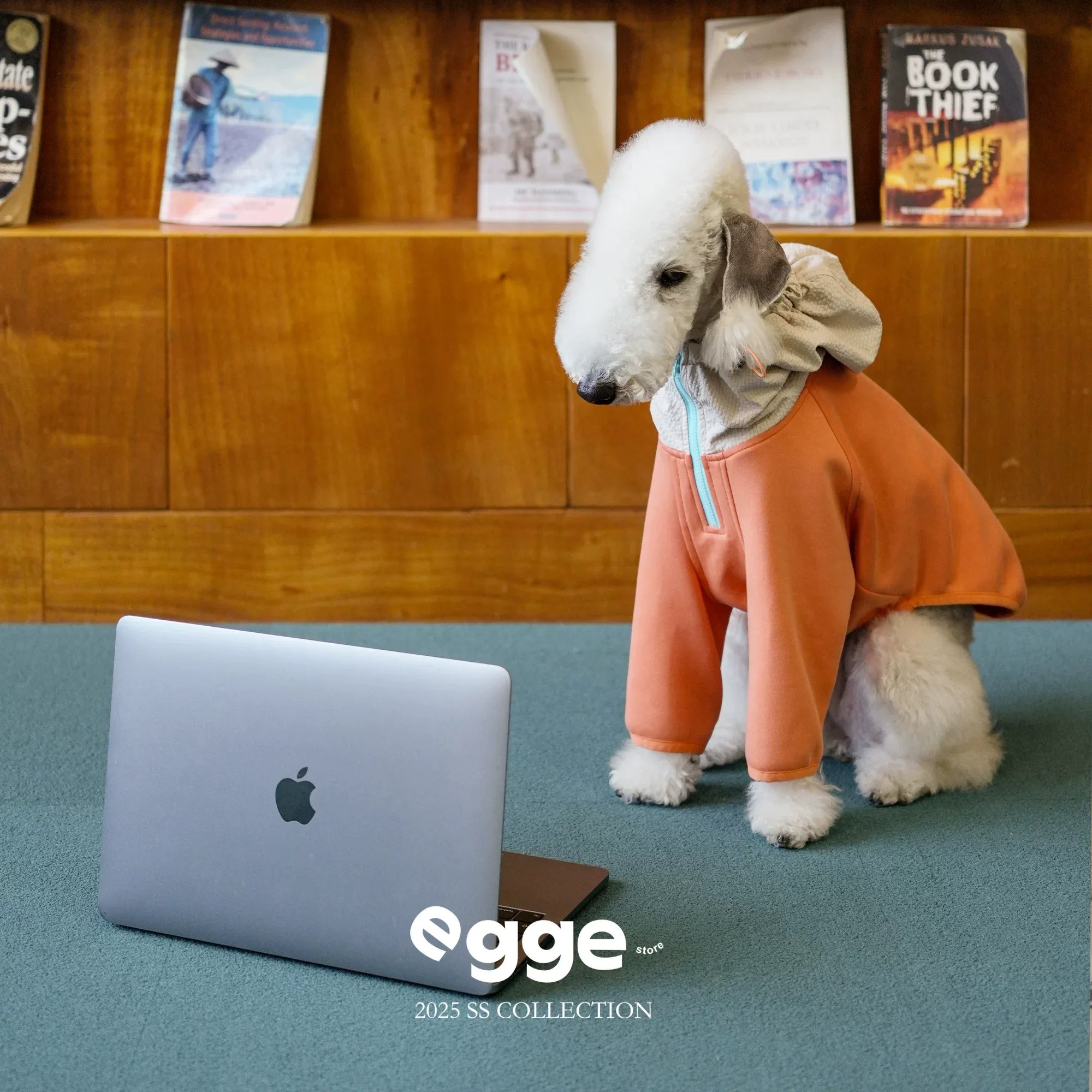 Egge Ultra-Soft Fluffy Air Layered Sweatshirt
