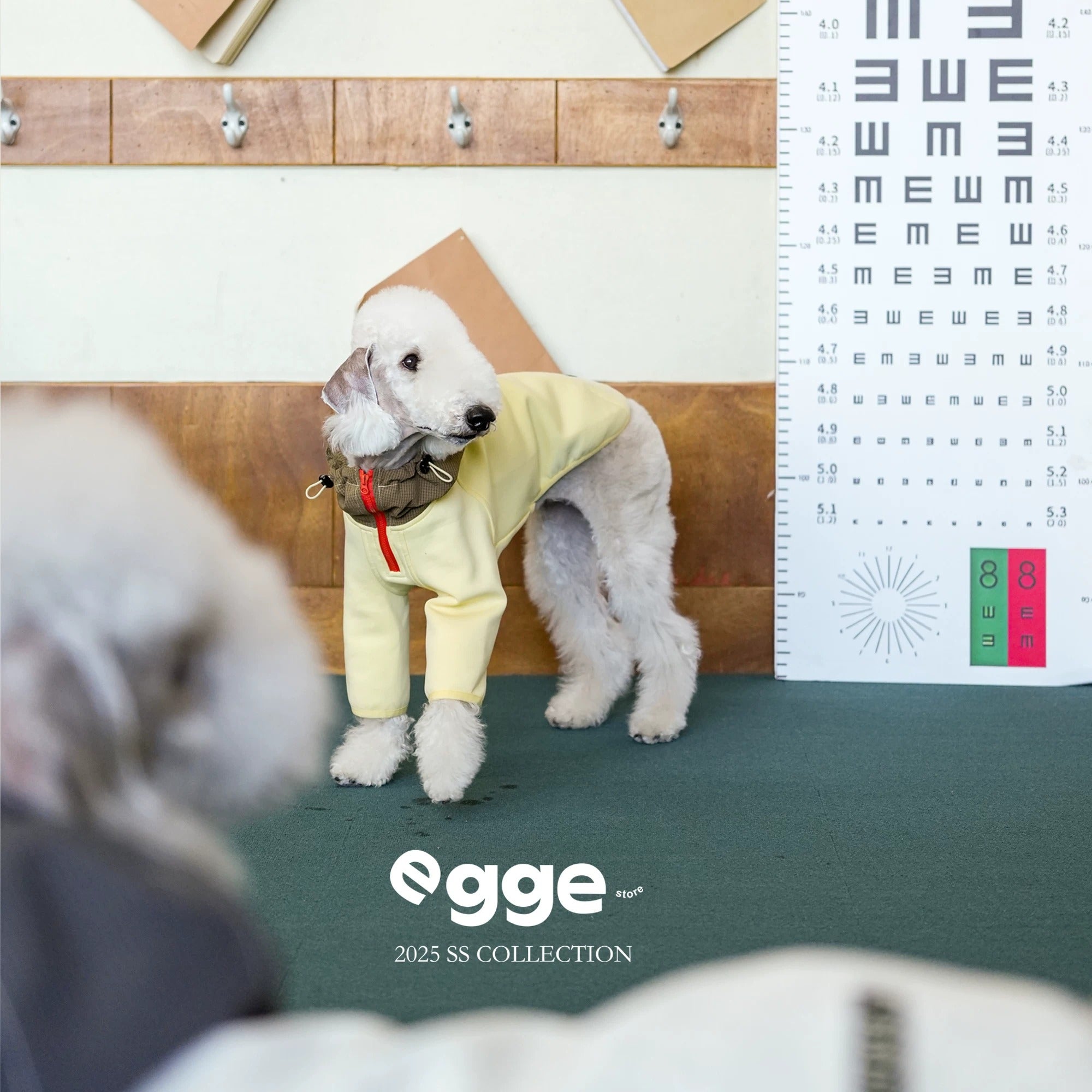 Egge Ultra-Soft Fluffy Air Layered Sweatshirt