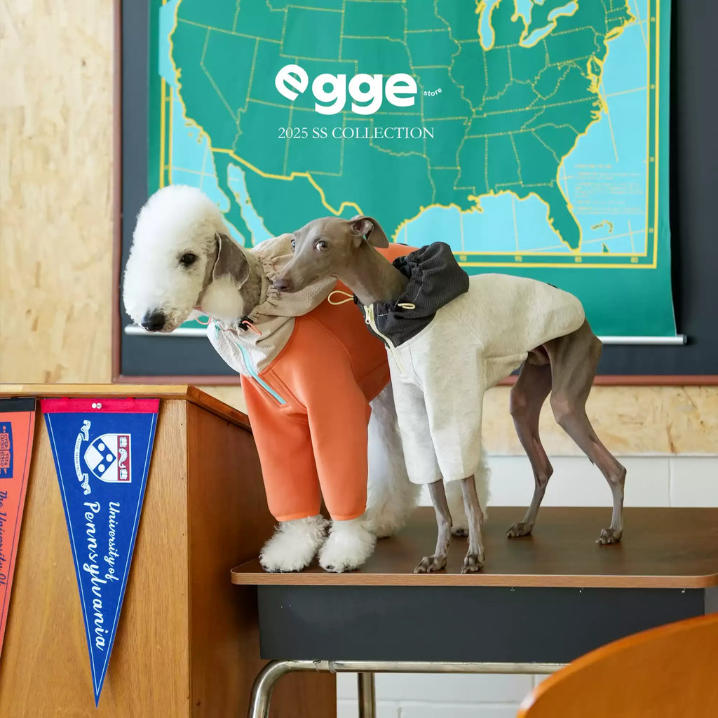 Egge Ultra-Soft Fluffy Air Layered Sweatshirt