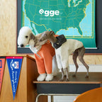 Egge Ultra-Soft Fluffy Air Layered Sweatshirt