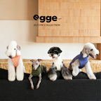 Egge Autumn Winter Anti-static Belly Protector Vest