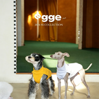 Egge Autumn Winter Anti-static Belly Protector Vest