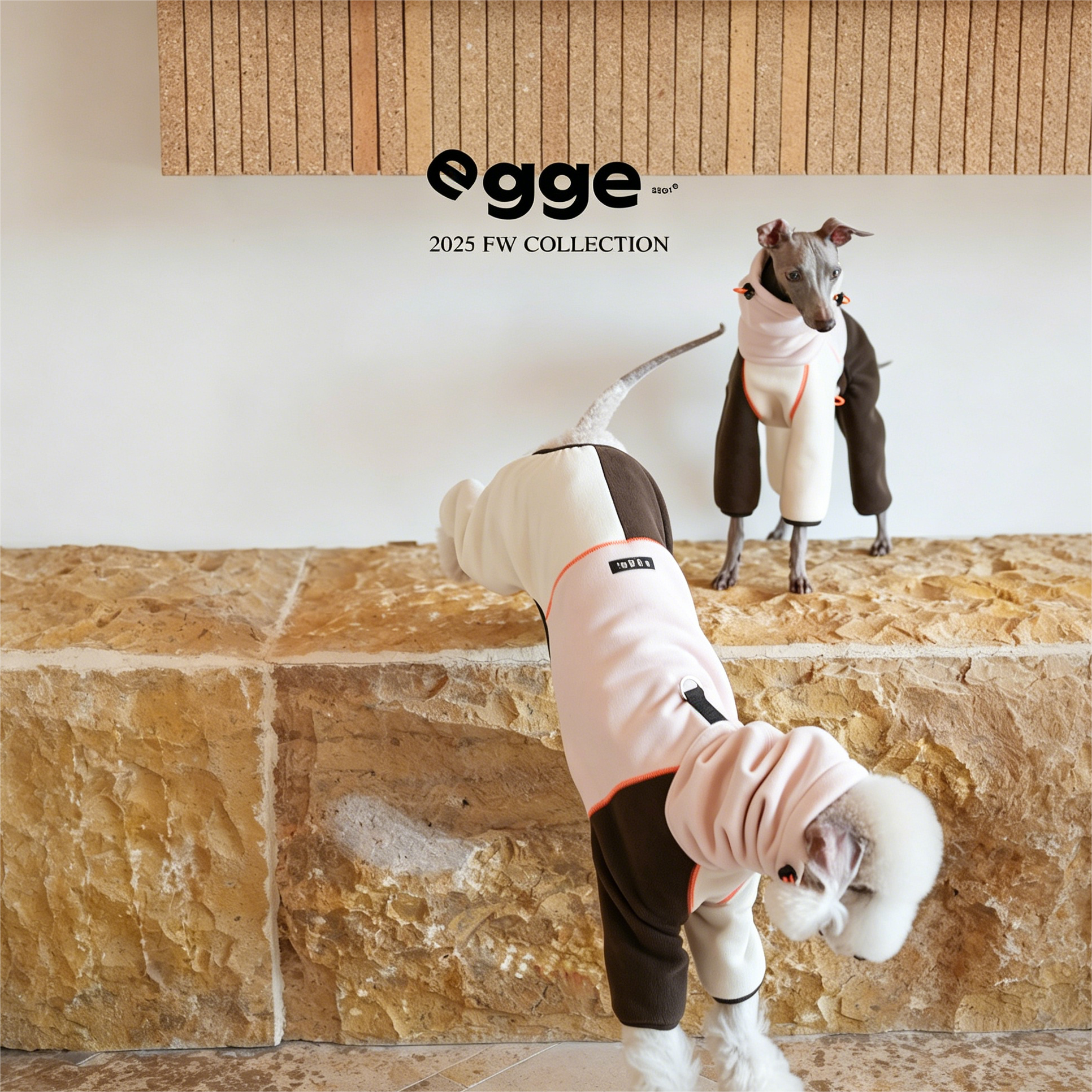 Egge Autumn and Winter Anti-static Super Soft Dog Sweater