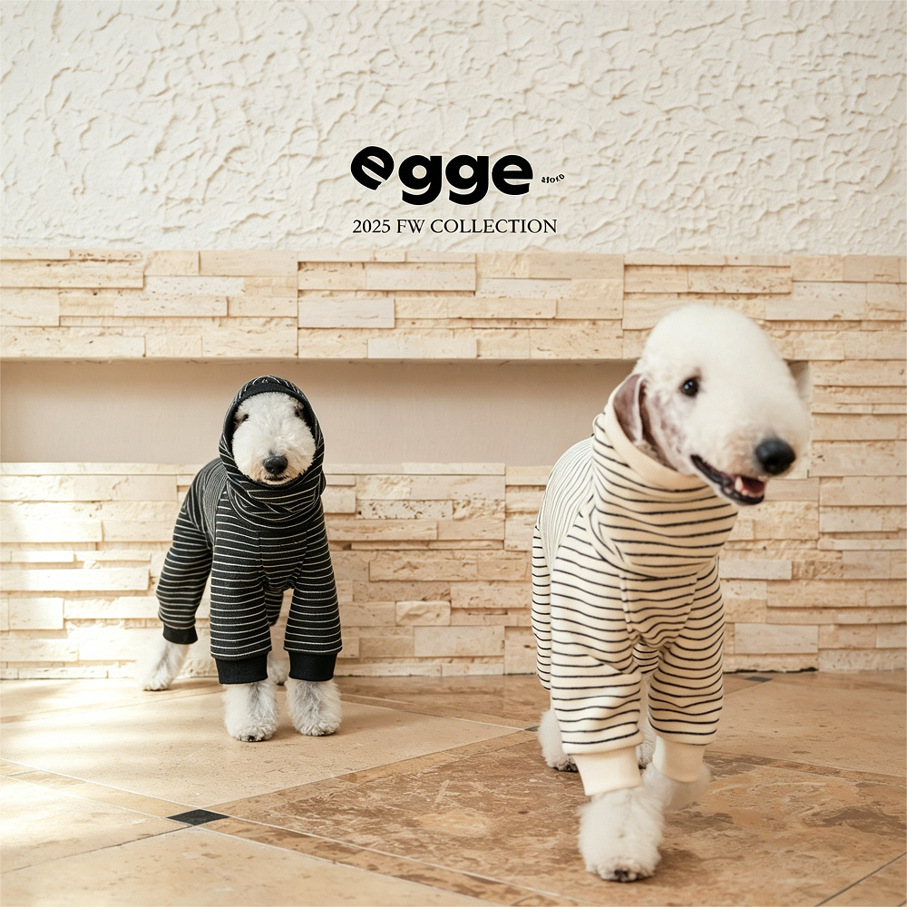 Egge Autumn and Winter Terry Dog Sweater with Circle Pattern