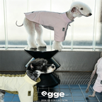 Egge Spring Summer Waterproof Ultralight Dog Sweatshirt