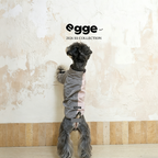 Egge Spring Summer Waterproof Ultralight Dog Sweatshirt