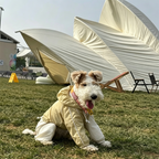 Egge UPF50+ Waterproof Ultralight Breathable Dog Sun Protection Clothing