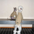 Egge Barn-style Retro Dog Trench Coat
