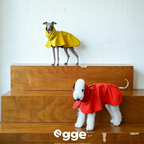 Egge Lightweight Water-Repellent Poncho Raincoat