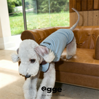 Egge Ice Skin Dog Cool Vest, Lightweight And Cool In Summer