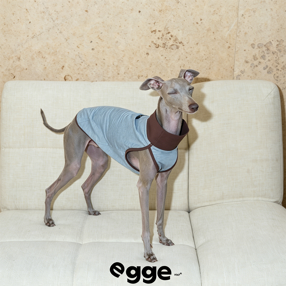 Egge Ice Skin Dog Cool Vest, Lightweight And Cool In Summer