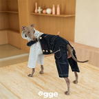 Egge Japanese Magazine Retro Denim Overalls