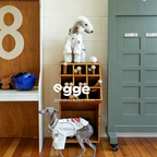 Egge Spring Summer Lightweight Retro Dog Jersey