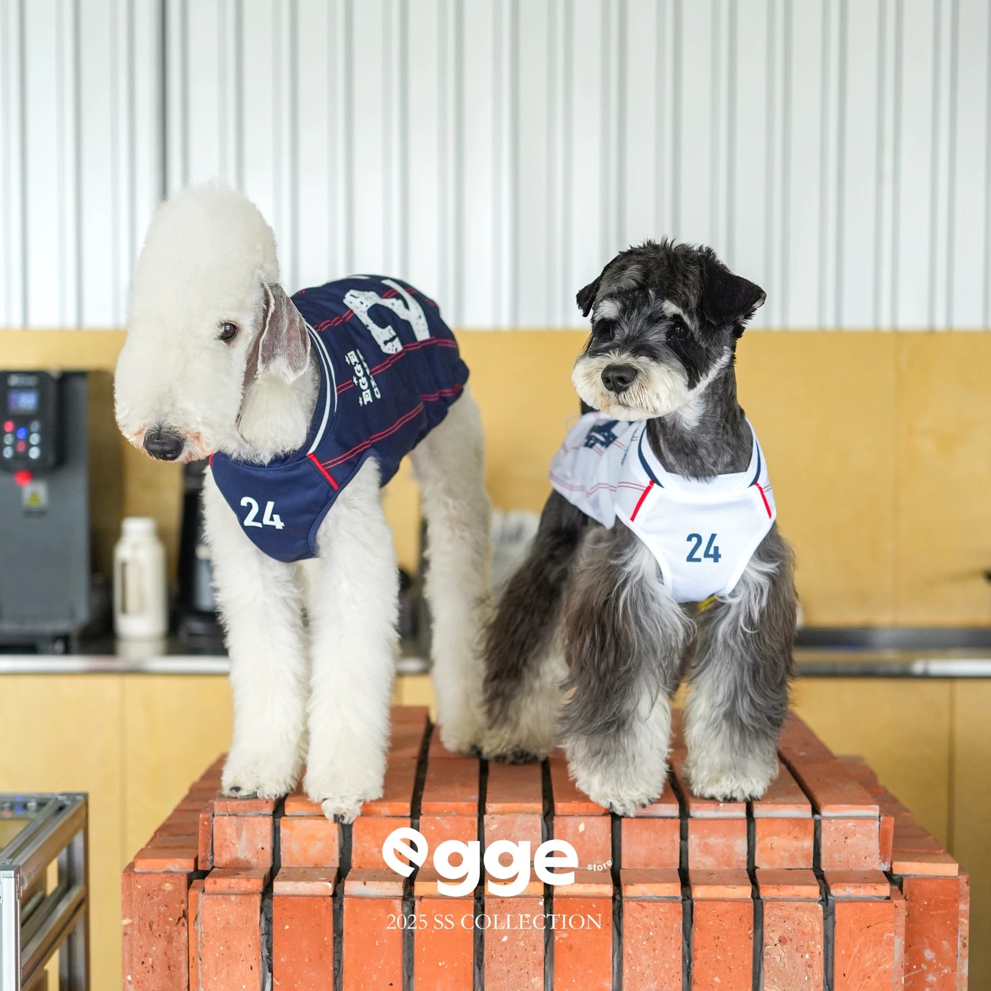 Egge Spring Summer Retro Tennis Vest for Dogs