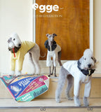 Egge Ultra-Soft Fluffy Air Layered Sweatshirt