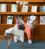 Egge Ultra-Soft Fluffy Air Layered Sweatshirt