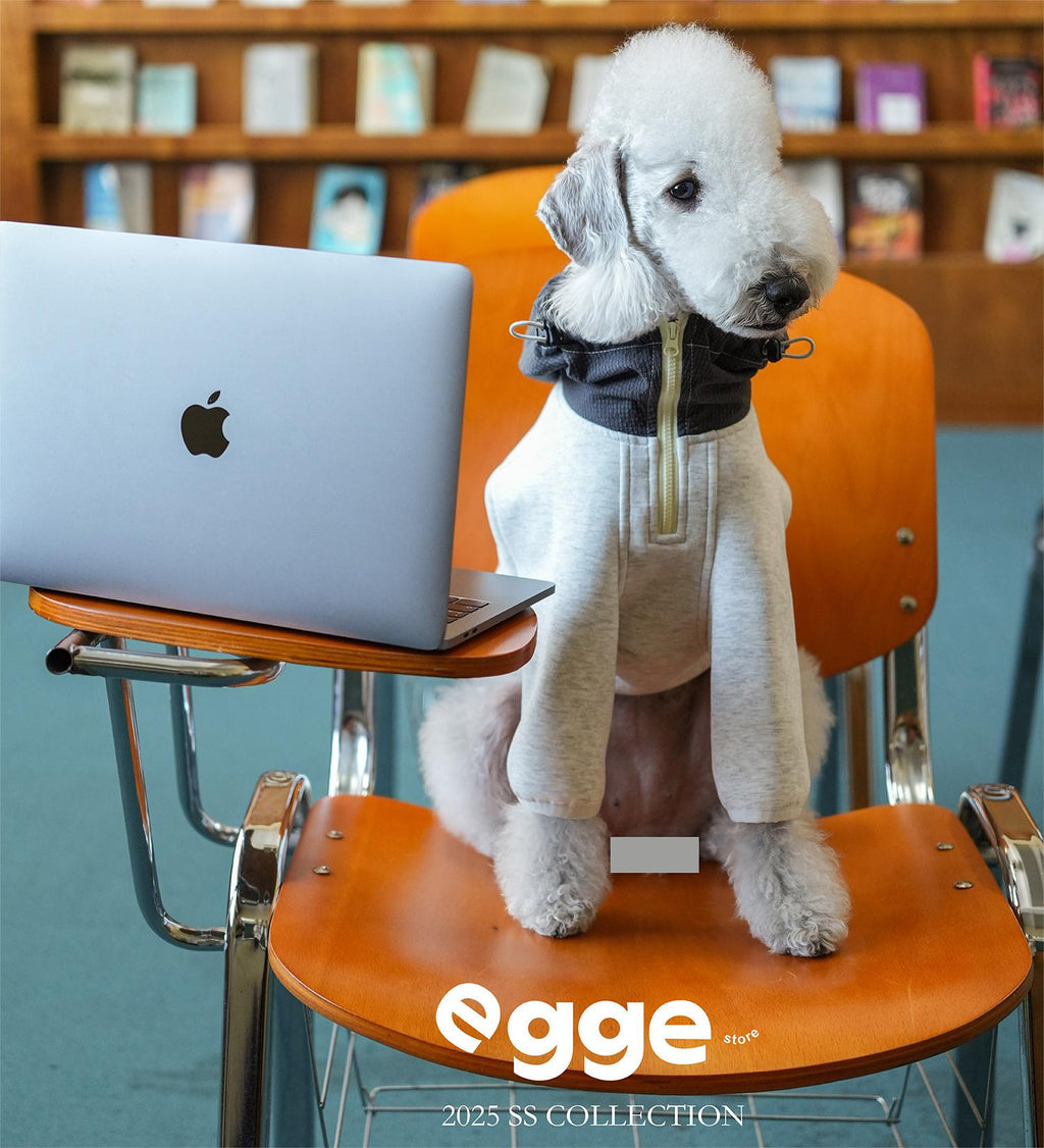 Egge Ultra-Soft Fluffy Air Layered Sweatshirt