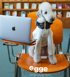 Egge Ultra-Soft Fluffy Air Layered Sweatshirt