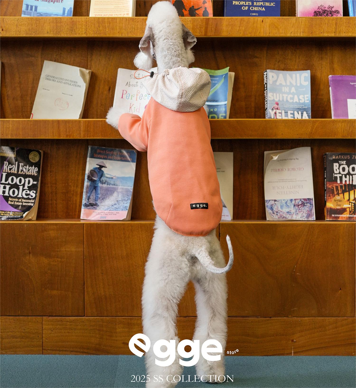 Egge Ultra-Soft Fluffy Air Layered Sweatshirt