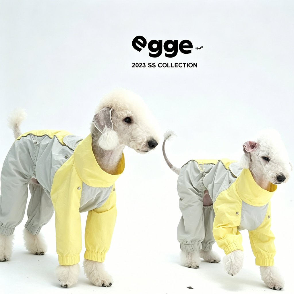 Egge Waterproof Anti-static Lightweight Medium-Sized Dog Rain Poncho