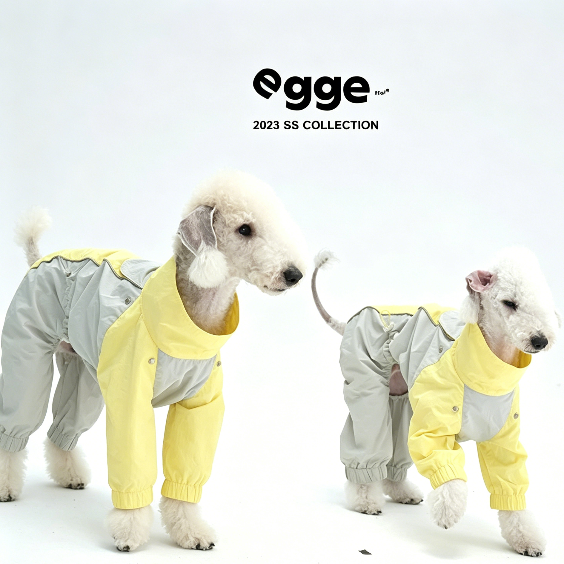 Egge Waterproof Anti-static Lightweight Medium-Sized Dog Rain Poncho