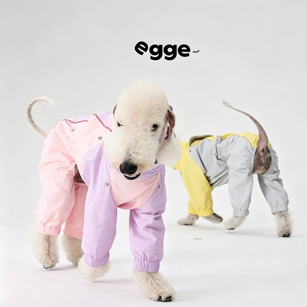 Egge Waterproof Anti-static Lightweight Medium-Sized Dog Rain Poncho