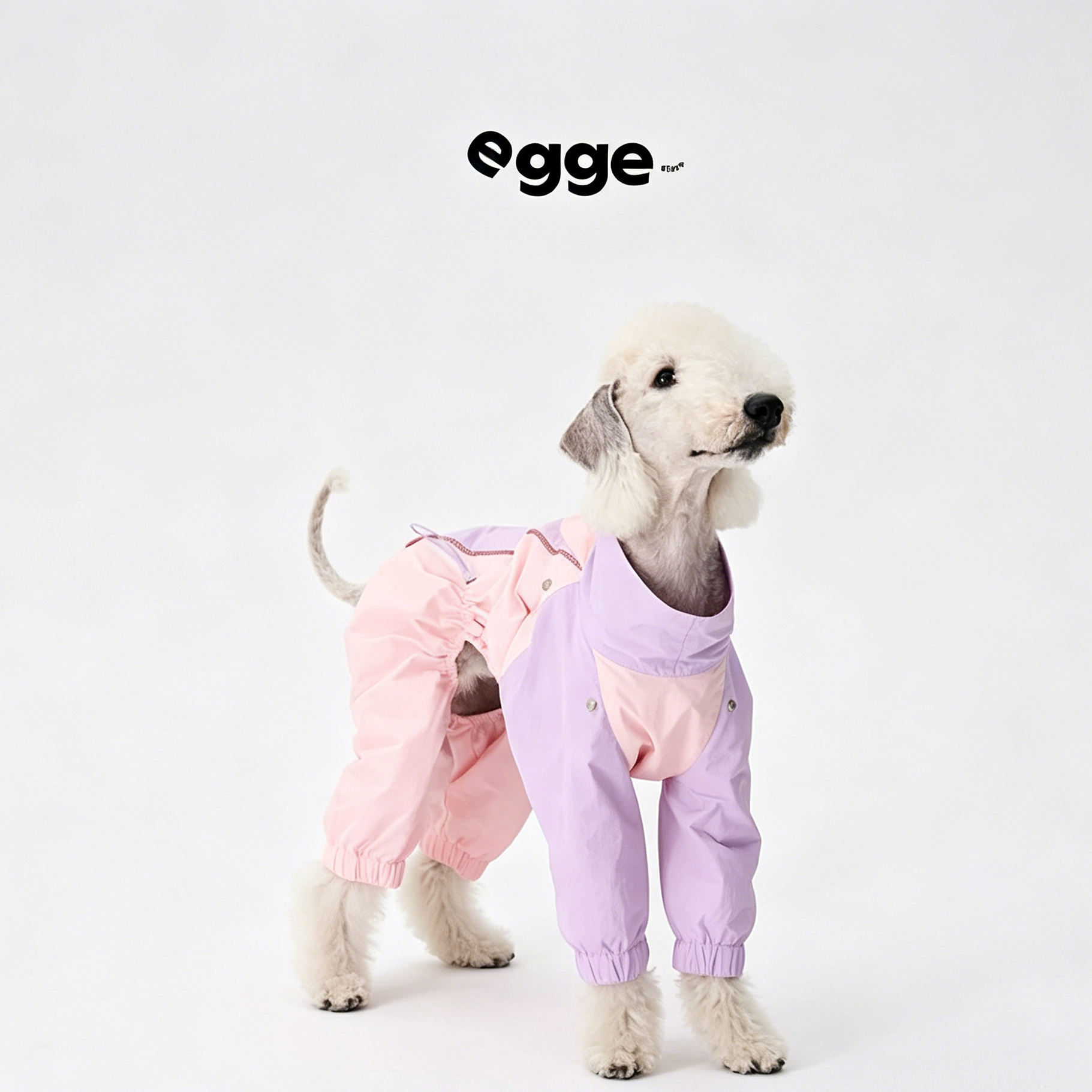 Egge Waterproof Anti-static Lightweight Medium-Sized Dog Rain Poncho