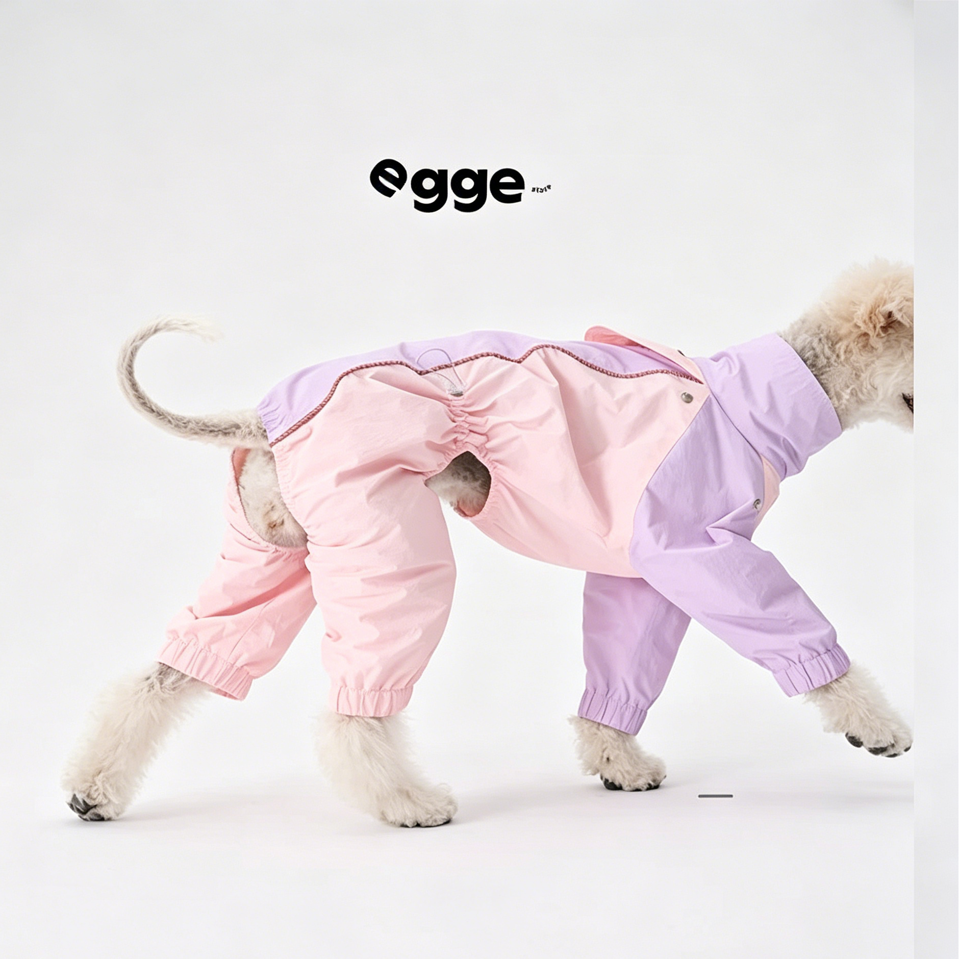 Egge Waterproof Anti-static Lightweight Medium-Sized Dog Rain Poncho
