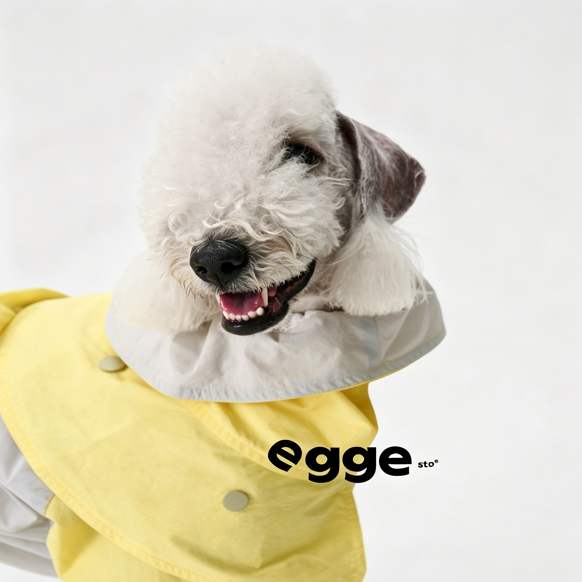 Egge Waterproof Anti-static Lightweight Medium-Sized Dog Rain Poncho