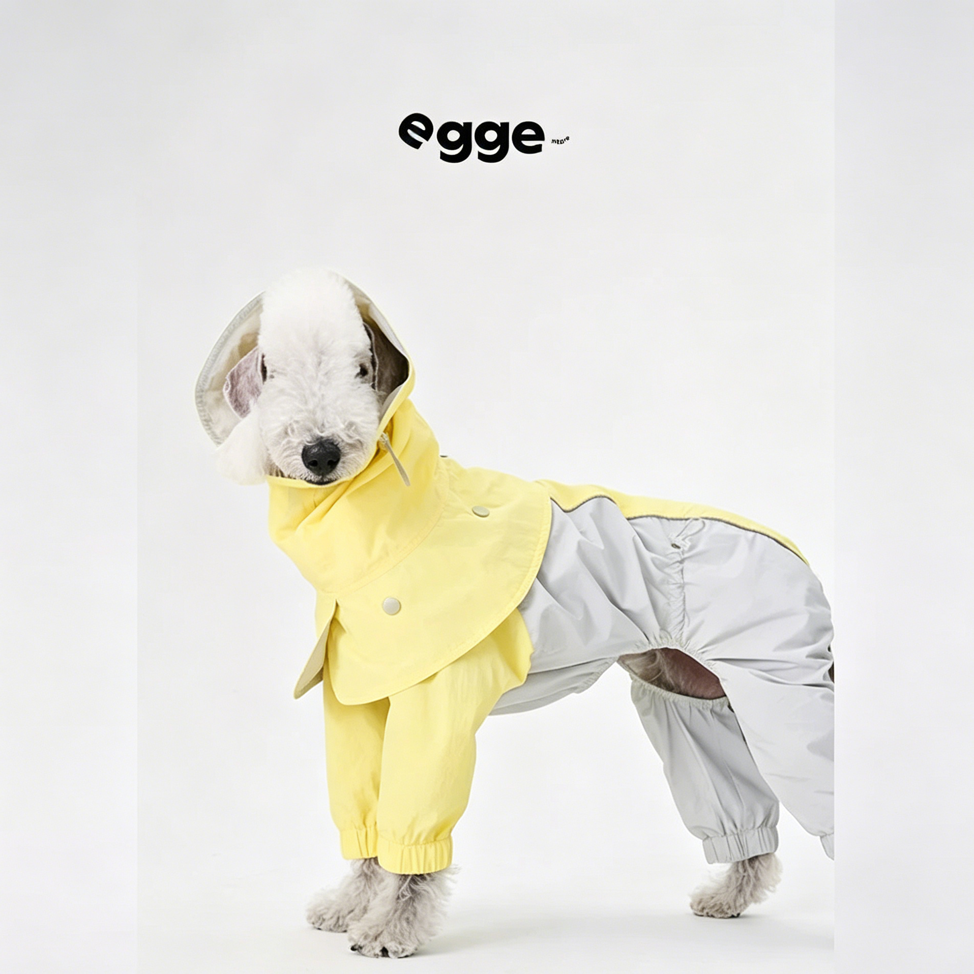 Egge Waterproof Anti-static Lightweight Medium-Sized Dog Rain Poncho