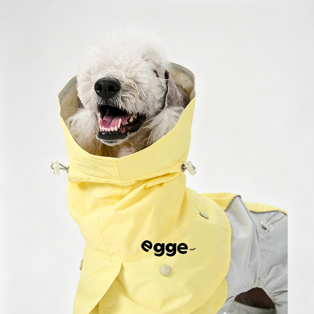 Egge Waterproof Anti-static Lightweight Medium-Sized Dog Rain Poncho