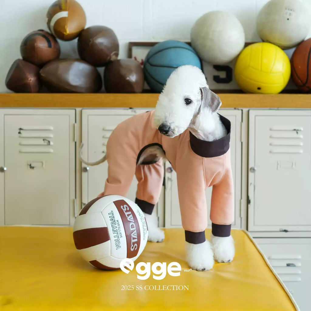 Egge upf50 dog spring and summer sun protection and cool four-legged clothing