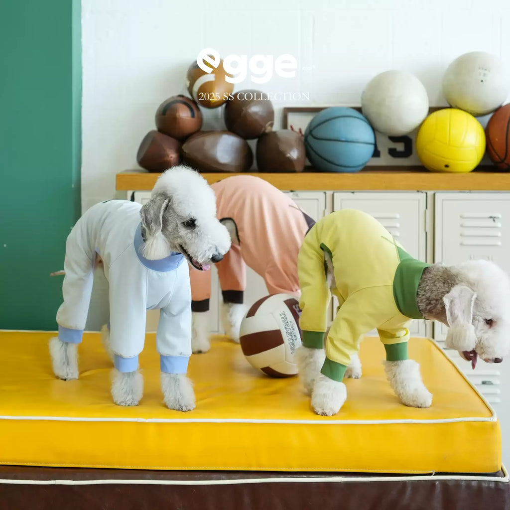 Egge upf50 dog spring and summer sun protection and cool four-legged clothing