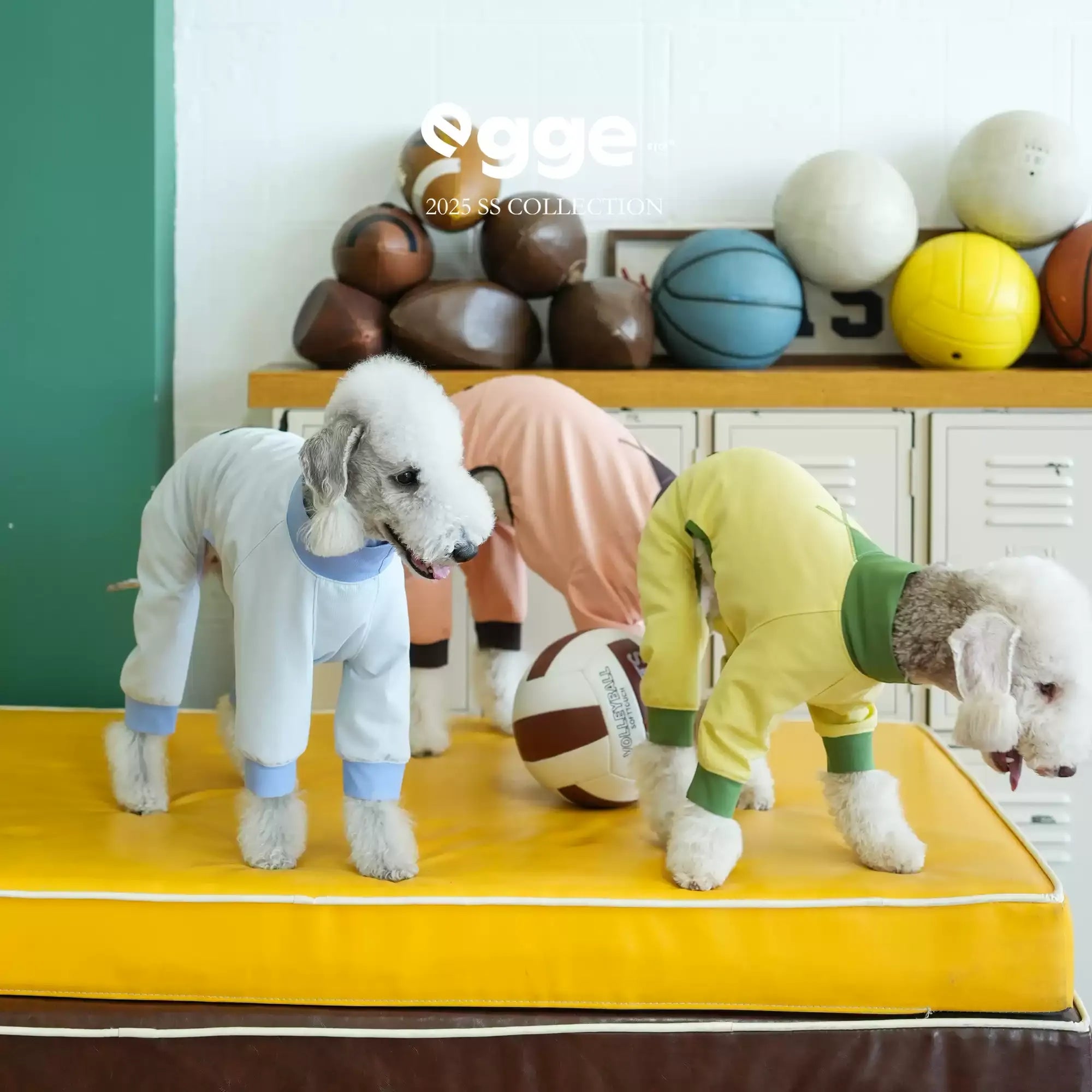 Egge upf50 dog spring and summer sun protection and cool four-legged clothing
