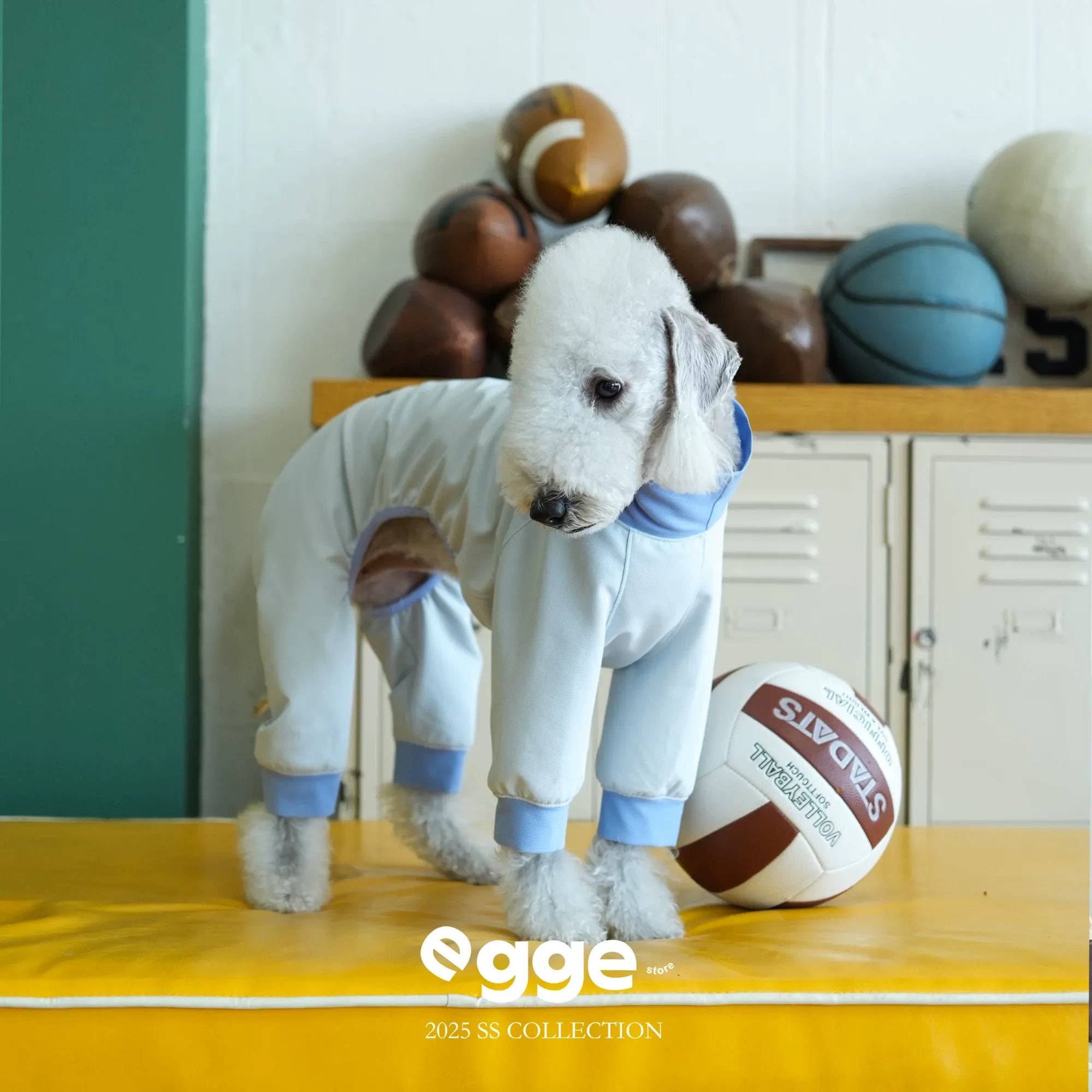 Egge upf50 dog spring and summer sun protection and cool four-legged clothing