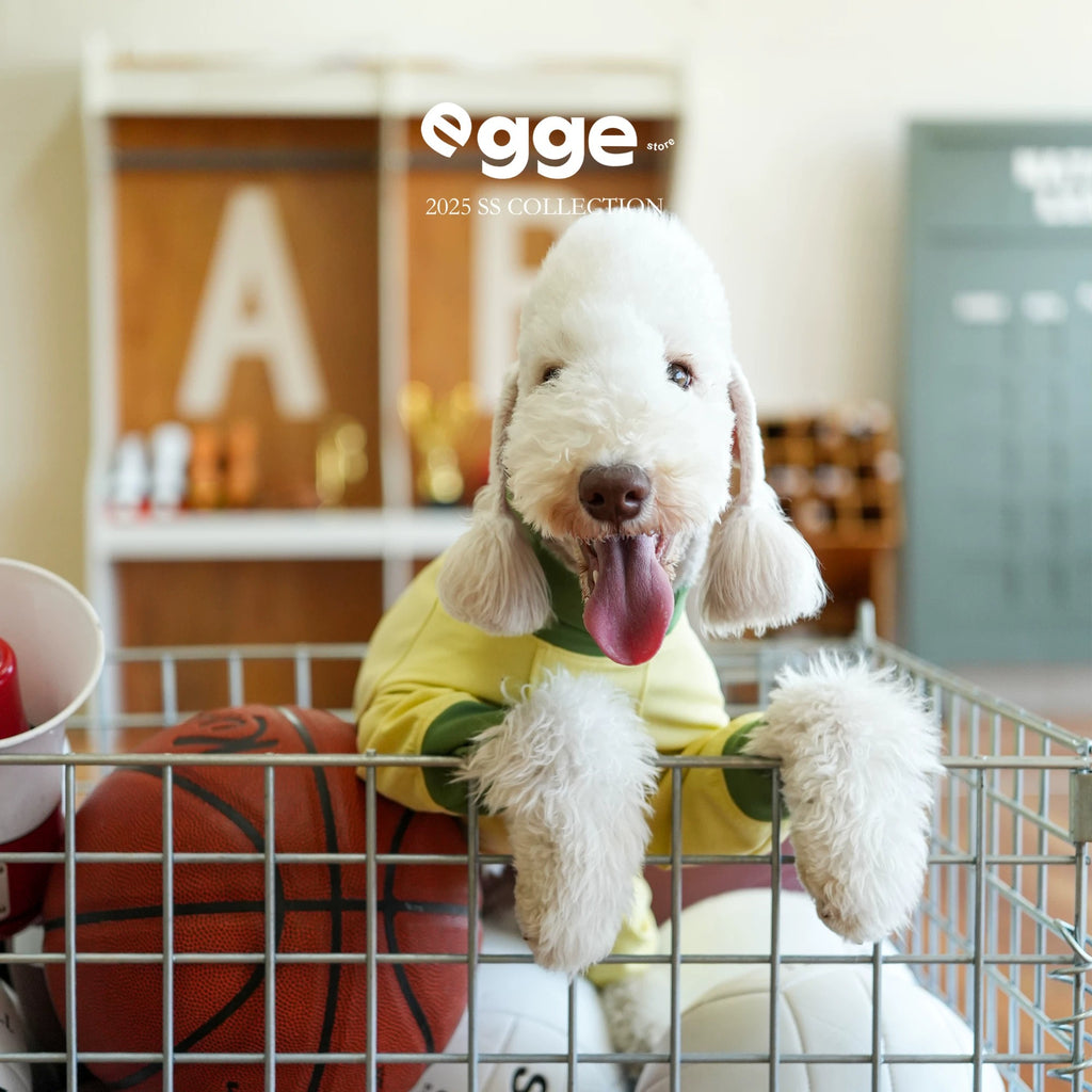 Egge upf50 dog spring and summer sun protection and cool four-legged clothing